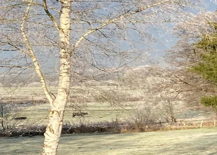 In With Garden Holiday home Leglise